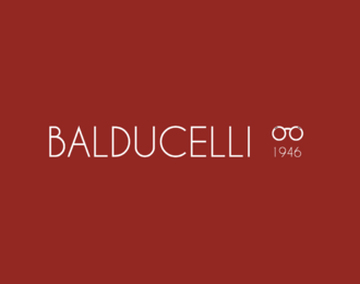 Balducelli : Deux sites internet pour deux activités constituant la stratégie web du lunetier