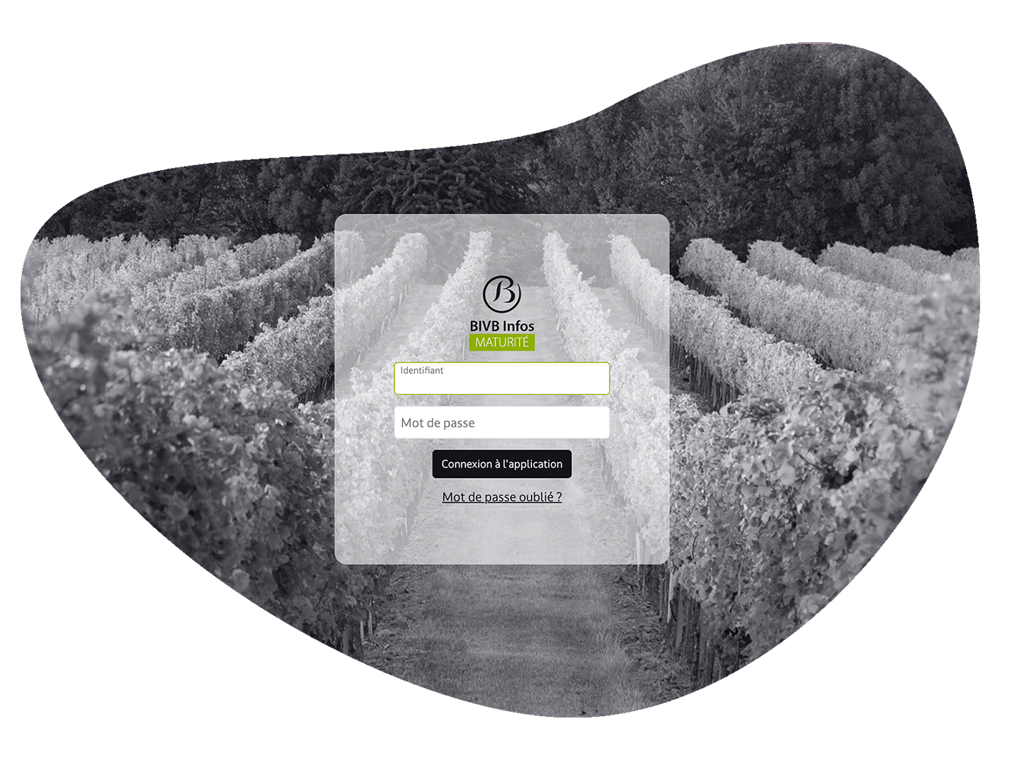 BIVB - Infos Un logiciel sur-mesure centralisé pour optimiser la diffusion d’informations aux vignerons de Bourgogne